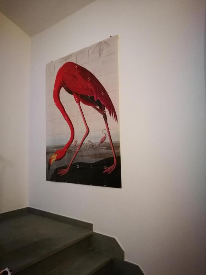 Suite Eleven Castiglioncello Buitenkant foto